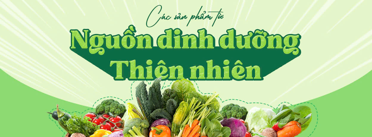 Banner thiên nhiên 1