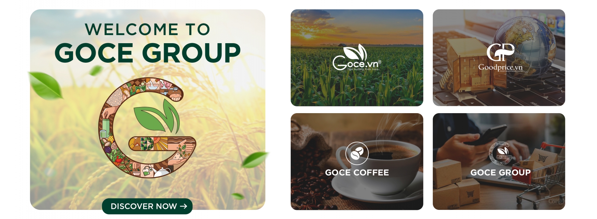 Banner Goce Group