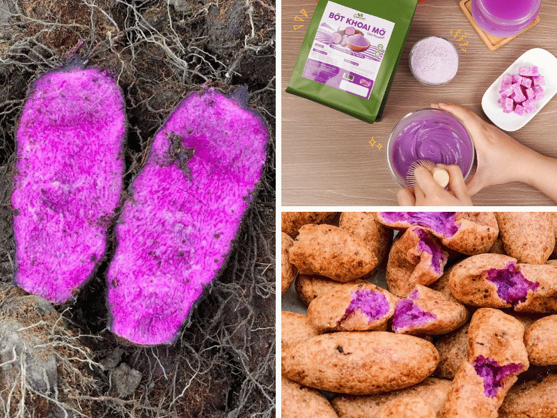 Goodprice Ube Powder – A Consistent Supply You Can Trust