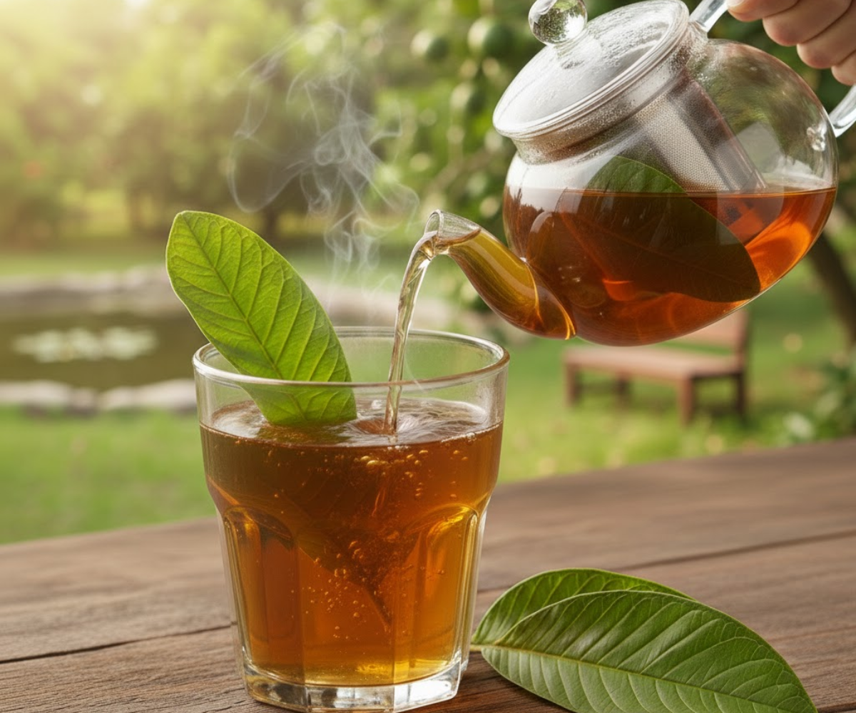 Don’t Drink Guava Leaf Tea Until You Know These Things