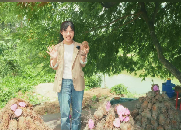 Follow Goodprice on a Visit to the Ube Farm