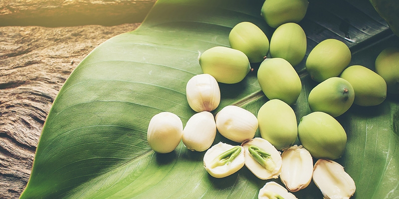 What will eating lotus seeds every day help you?