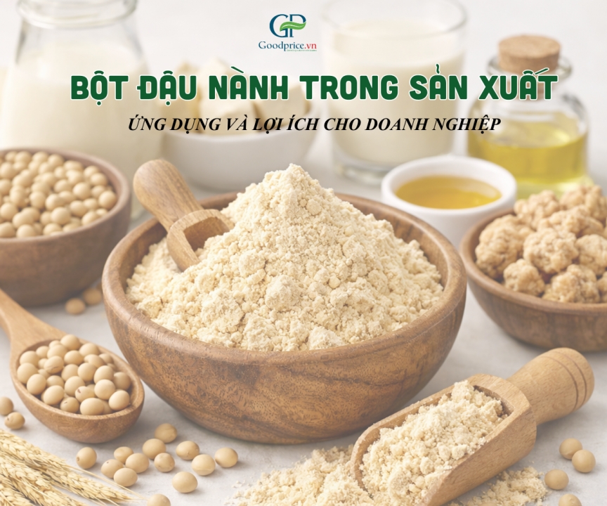 Soybean Powder in the Food Industry: Applications and Benefits for Businesses