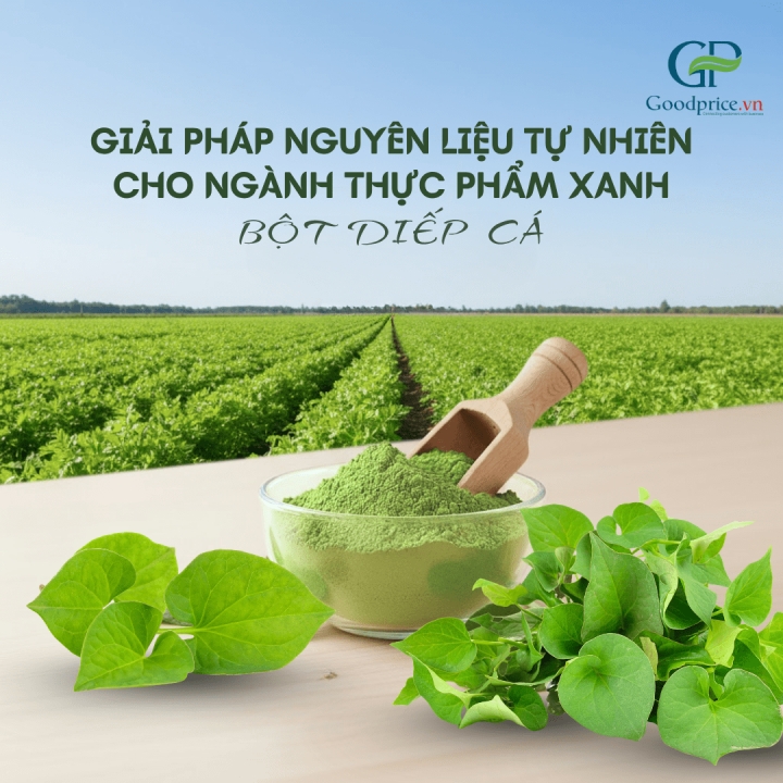 HOUTTUYNIA CORDATA POWDER A COMPREHENSIVE NATURAL INGREDIENT SOLUTION FOR THE GREEN FOOD INDUSTRY