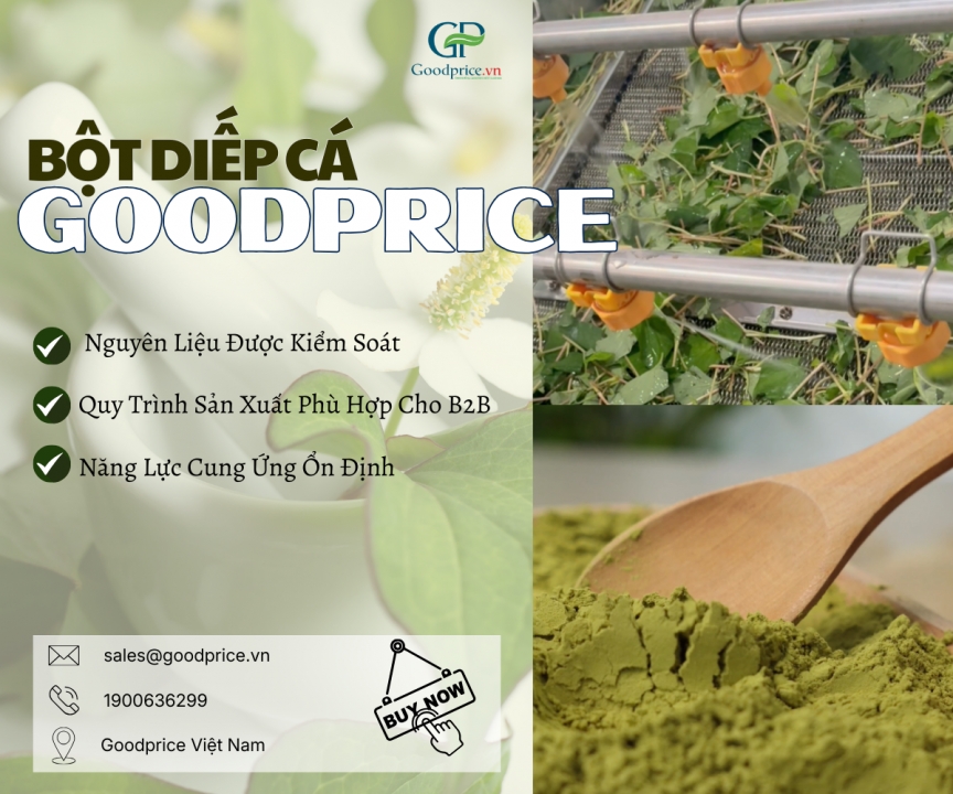 Bột Diếp Cá Goodprice – Nguồn Cung Ổn Định Cho Doanh Nghiệp Mỹ Phẩm & Thực Phẩm