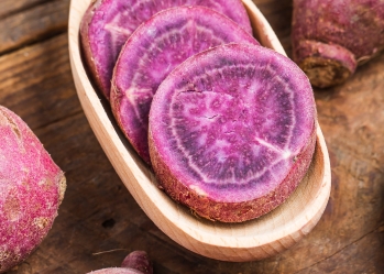 Purple sweet potato powder in mixing - the source of a series of delicious drinks loved by young people