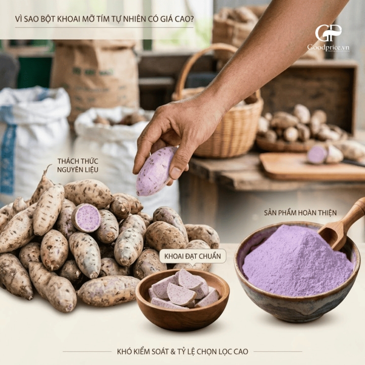 Bột Khoai Mỡ Màu Tím Tự Nhiên Lại Đắt Hơn Vì Sao