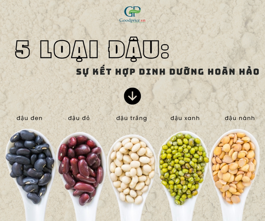 Five-Bean Cereal Powder: Why Is It So Highly Valued for Its Nutritional Benefits?