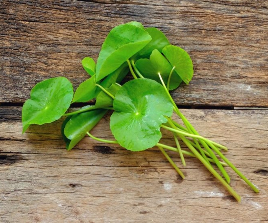 What Is Centella Powder Used For?