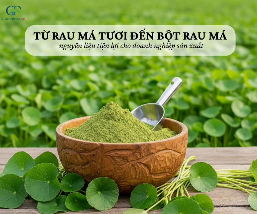 Centella asiatica Powder – A Trending Ingredient for Cooling & Detox Product Lines