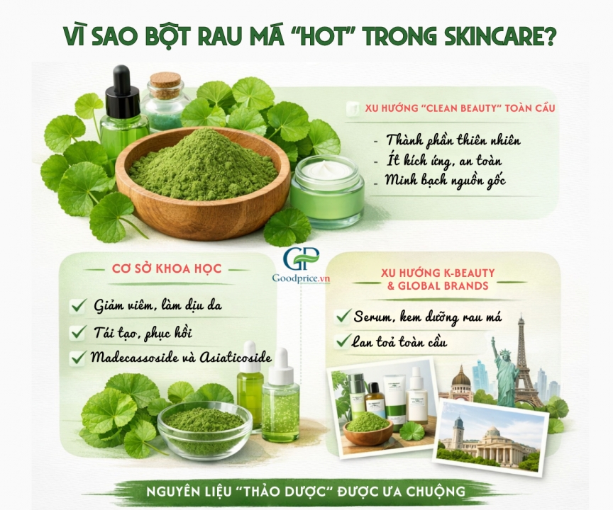Gotu Kola Powder in Skincare: Global Trends & B2B Opportunities