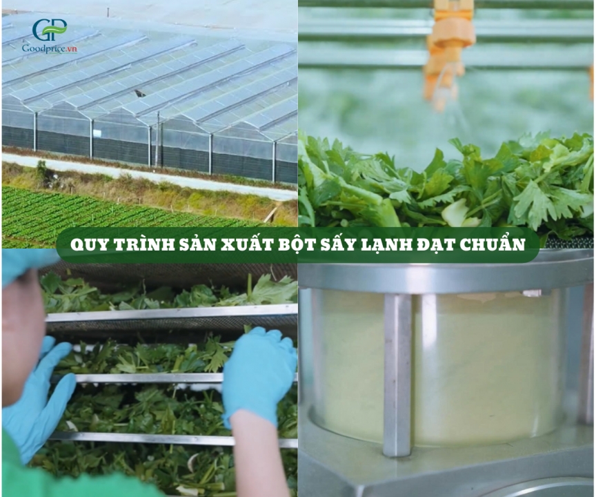 What Is Freeze-Dried Celery Powder? How Is It Different from Heat-Dried Celery Powder?