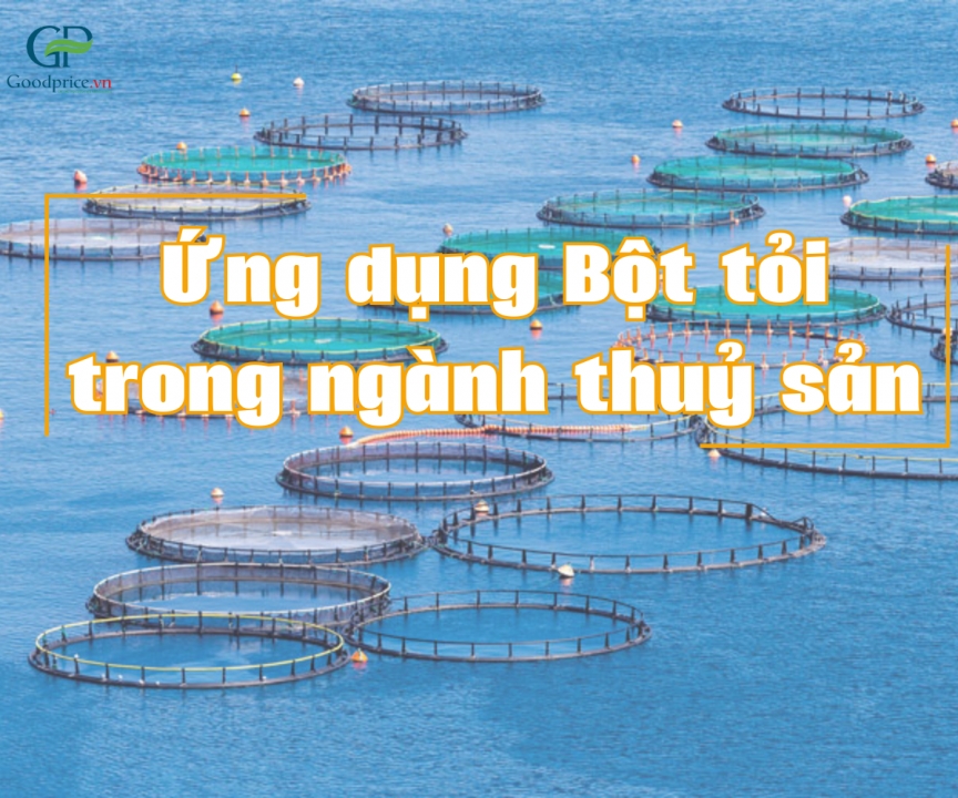 Công dụng của Bột tỏi trong ngành thuỷ sản