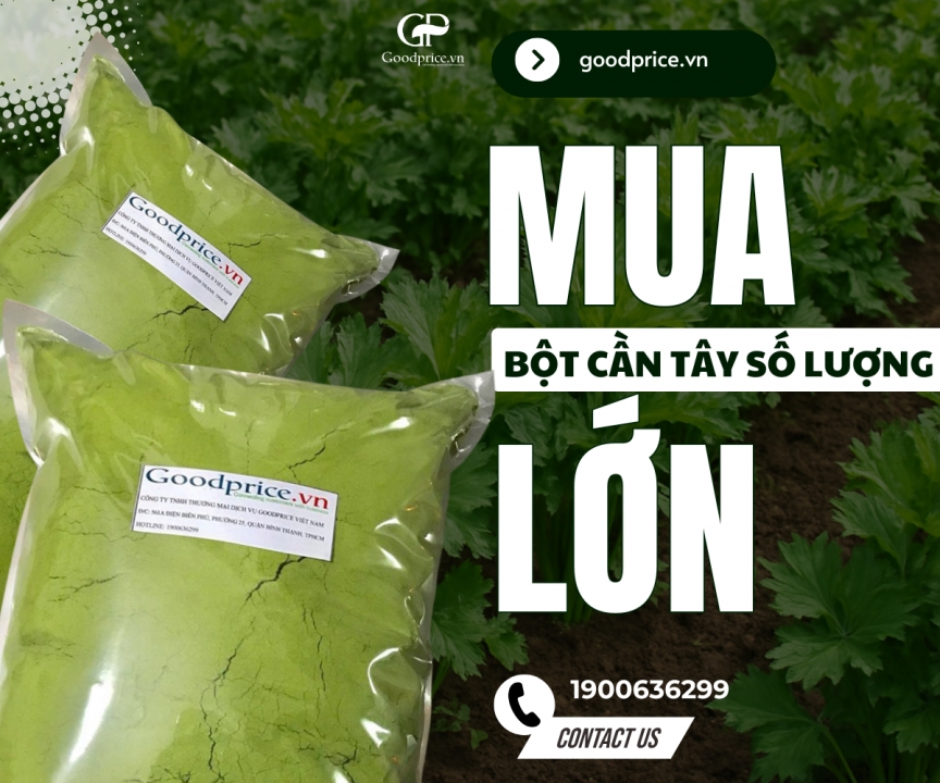 Supply of High-Quality Celery Powder – Bulk Quantity, Fast Delivery