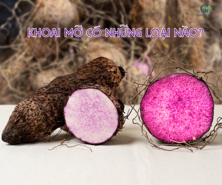 Khoai mỡ nào phù hợp để sản xuất bột khoai mỡ chất lượng?