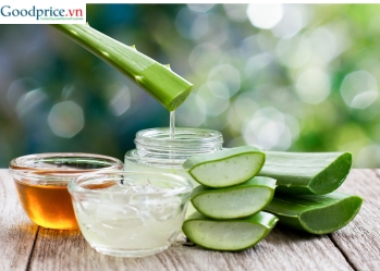 Nha đam trồng ở đâu là chất lượng nhất? 