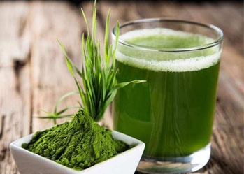 The benefits of wheat grass flour