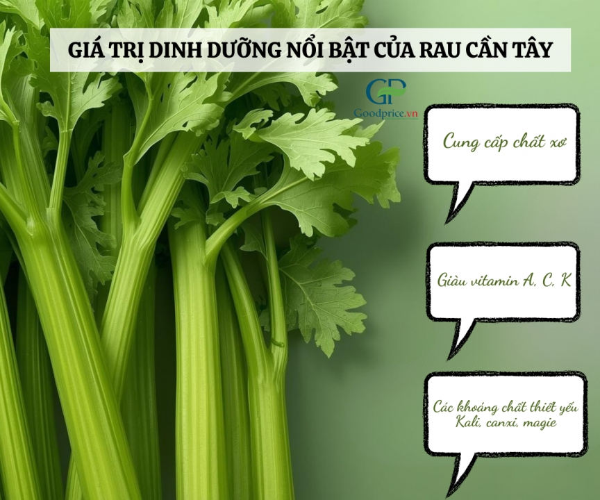 Celery – from a familiar vegetable to a high-value green ingredient