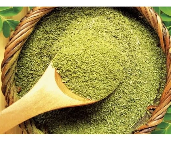 Tác dụng tuyệt vời của bột chùm ngây có thể bạn chưa biết