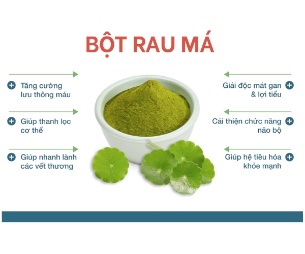 Tổng hợp những tác dụng của bột rau má