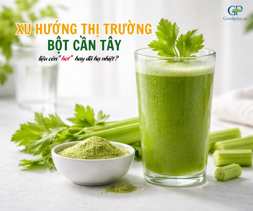 Celery Powder Market Trends 2026: Still “Hot” or Cooling Down?