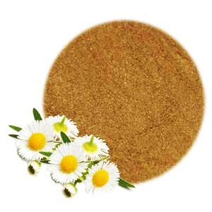 Chamomile powder from viet nam