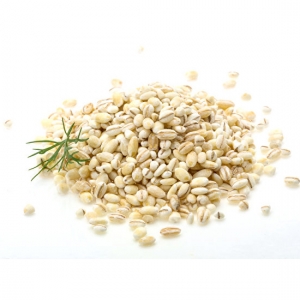 Vietnam pearl barley high quality