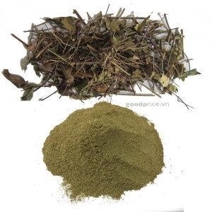 Jasminum subtriplinerve powder high quality