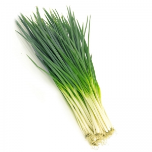 Scallion from vietnam