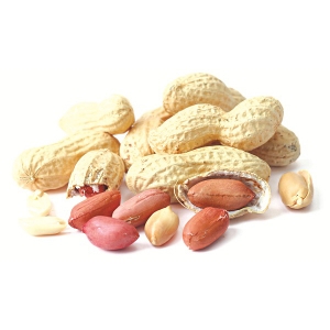 Dried peanut from vietnam