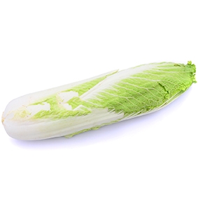Napa Cabbage