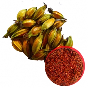Hạt dành dành khô xuất khẩu