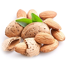 Dried almond from america