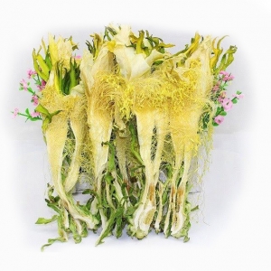 Dried dragon fruit flower
