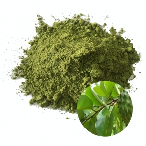 Soursop powder