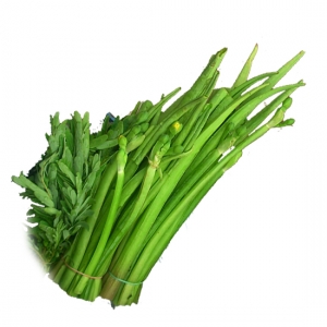 Limnocharis flava from viet nam