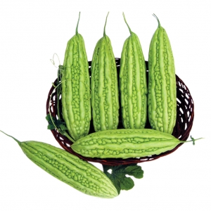 Natural fresh bitter melon from vietnam