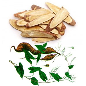 Hà thủ ô trắng chất lượng cao
