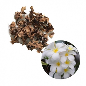 Dried plumeria buds high quality