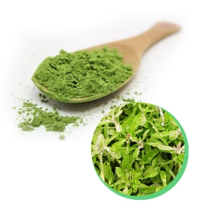 Cucumber powder