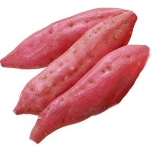 Sweet potato japan