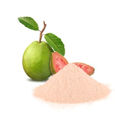 Guava powder