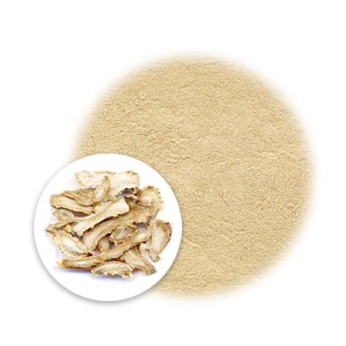 Angelica sinensis powder 