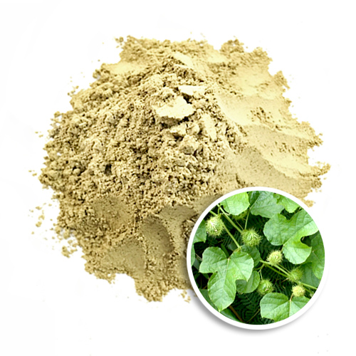 Wild maracuja powder