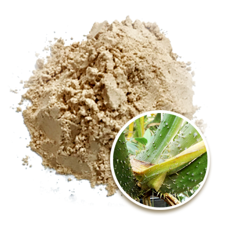 Momordica charantia  powder
