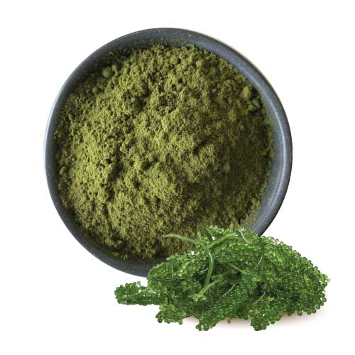 Grape seaweed powder 