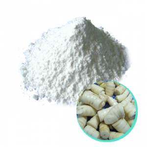 Arrow root powder high quality