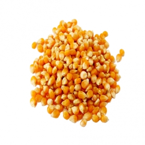 Yellow corn