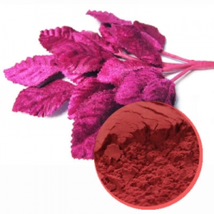 Magenta leaf powder