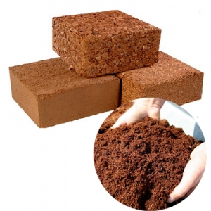 Coconut coco peat 